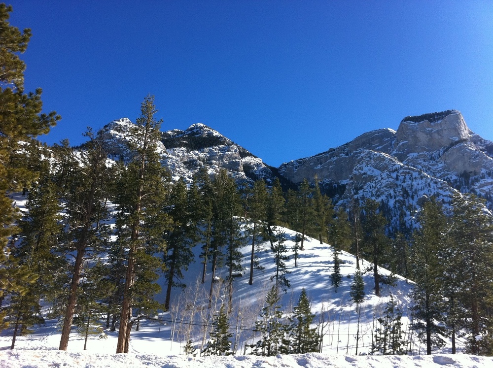 Keep Winter Cool: What Resorts Are Doing to Protect the Slopes Blog Post Keep Winter Cool: What Resorts Are Doing to Protect the Slopes